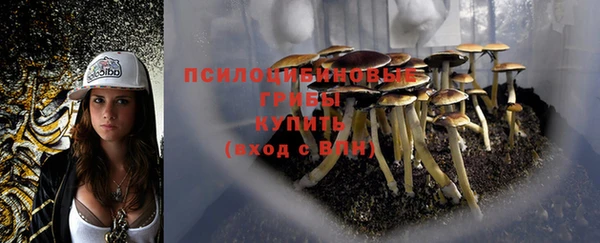 мяу мяу мука Балабаново